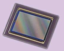 chip captador