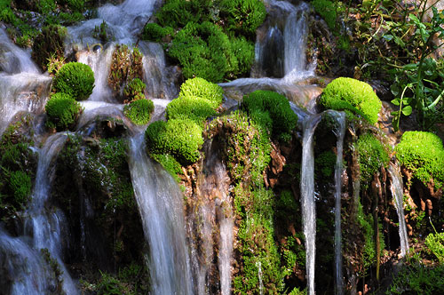 agua cayendo entre musgo