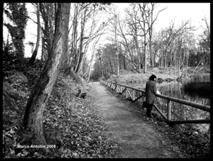 foto horizontal