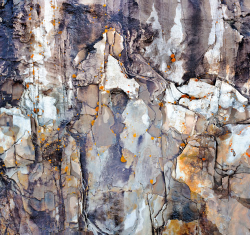 wetshale