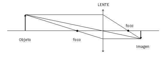 lente: imagen real