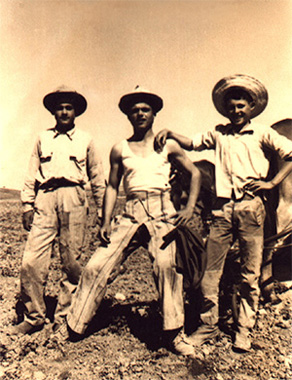 los tres
