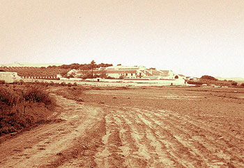 patronato
