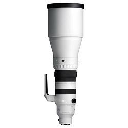 Sigma 300-600mm F4 DG OS (Sports)