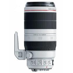 Canon EF 100-400mm f4.5-5.6 L IS II USM