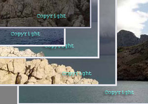 todas las fotos