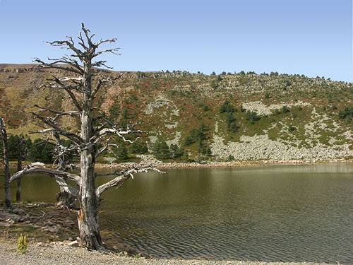 imagen con cielo azul degradado