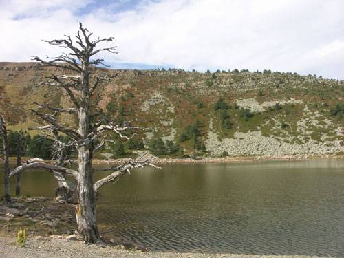 imagen con cielo blanco