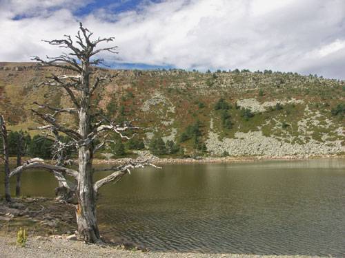 foto con sombra/iluminacion