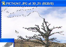 seleccion con varita magica