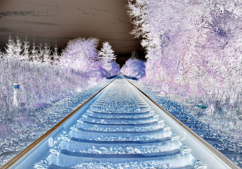 Imagen invertida