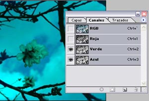 almendro canal cian
