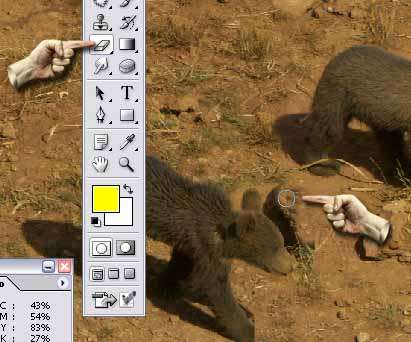 limpiar pegado