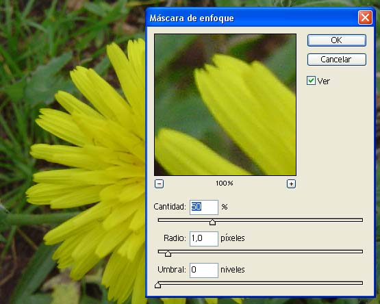 opciones de amscara de enfoque