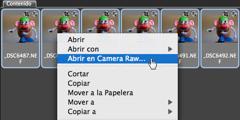Abrir en Camera Raw
