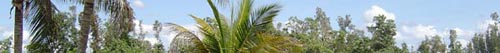 banner paisaje
