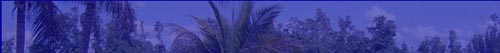 banner paisaje 2