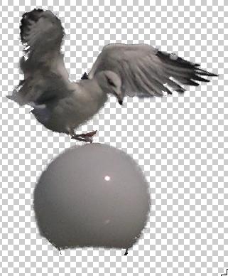 resultado filtro extraer